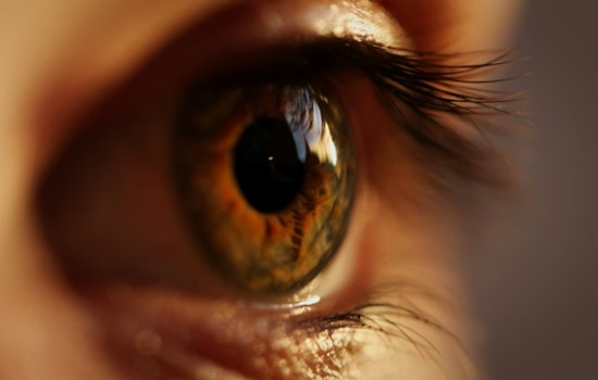 Harvard Anti-Aging Doc’s Boston Biotech Snags Cool $80 Million for Eye-Test Gamble
