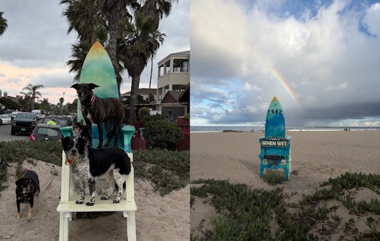 Hatchet-Wielding Vandal Topples Ocean Beach’s Iconic Lifeguard Chair