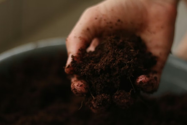 Hawaii’s Dirt War, Lawmakers Bet on Cash-for-Soil Plan to Save Local Farms