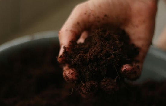 Hawaii’s Dirt War, Lawmakers Bet on Cash-for-Soil Plan to Save Local Farms