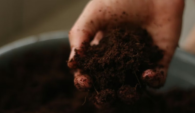Hawaii’s Dirt War, Lawmakers Bet on Cash-for-Soil Plan to Save Local Farms