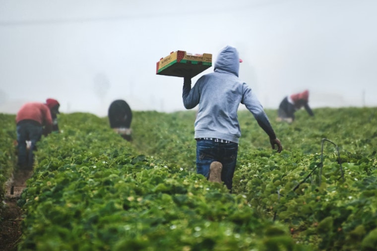 Healey Hunger Task Force Scrambles to Save SNAP for 150,000 Bay Staters