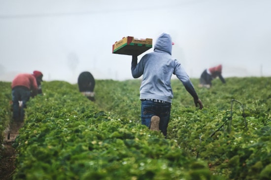 Healey Hunger Task Force Scrambles to Save SNAP for 150,000 Bay Staters