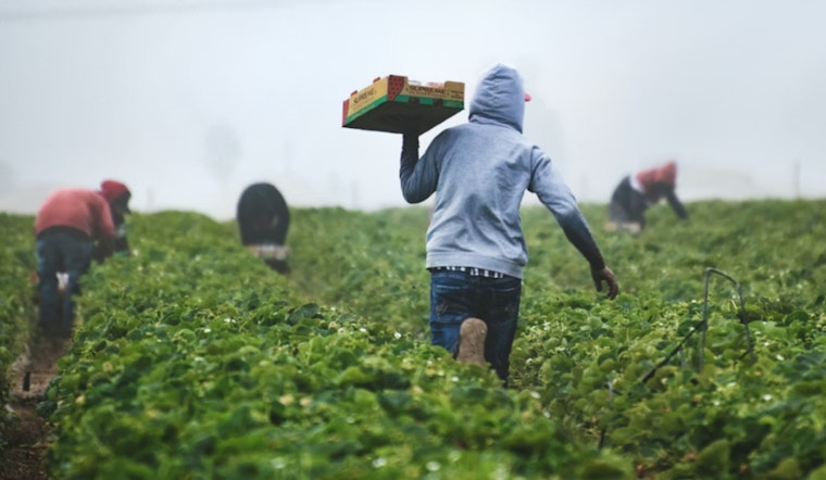 Healey Hunger Task Force Scrambles to Save SNAP for 150,000 Bay Staters