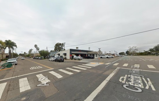 Heartbreak On Highway 101 As Encinitas Labradoodles Vanish From Parked Car