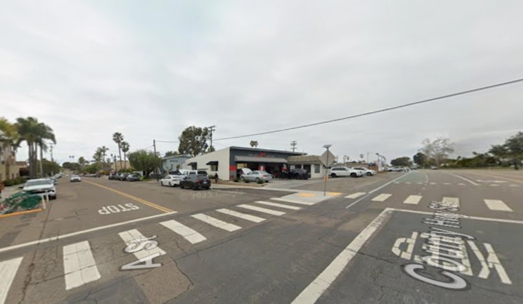 Heartbreak On Highway 101 As Encinitas Labradoodles Vanish From Parked Car