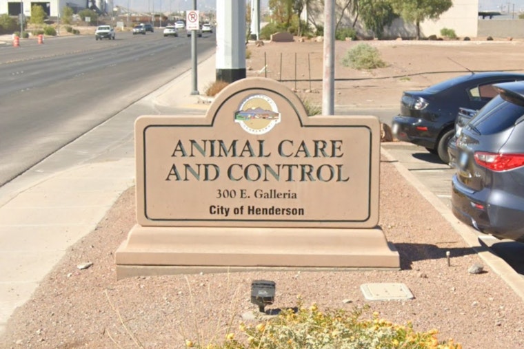 Henderson 'Zoo House' Bust: More Than 40 Animals Seized From Eastgate Home