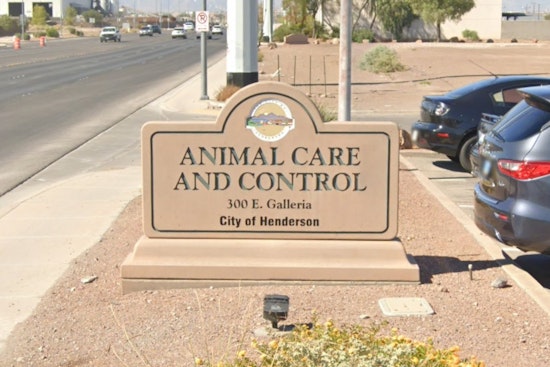 Henderson 'Zoo House' Bust: More Than 40 Animals Seized From Eastgate Home