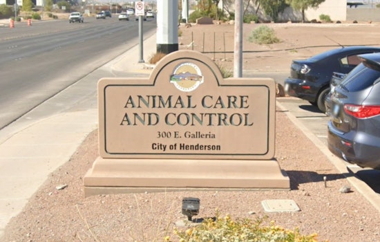Henderson 'Zoo House' Bust: More Than 40 Animals Seized From Eastgate Home