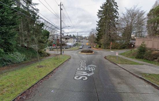 Highland Park Little Free Library Torched, West Seattle Fumes