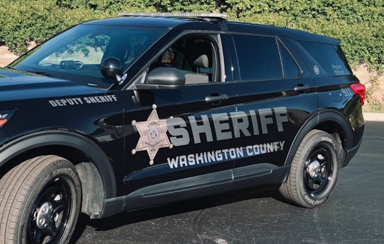 Hillcrest Horror: West Bend Man Charged After Hit‑And‑Run Kills Dog