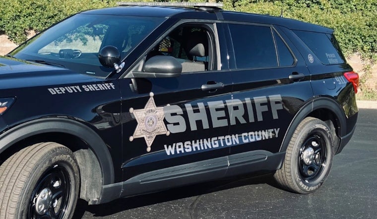 Hillcrest Horror: West Bend Man Charged After Hit‑And‑Run Kills Dog