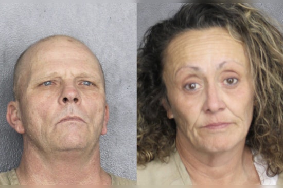Hollywood Houseguest Nightmare: Pair Nabbed In Alleged $400K Coin Heist