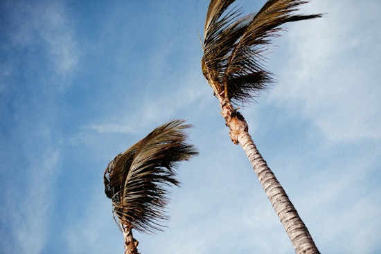 Honolulu Weather Friday: Gusty Trades And Small Craft Advisory