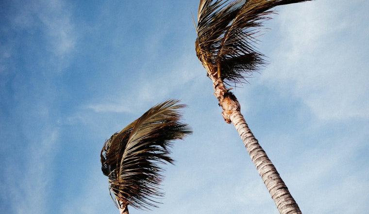 Honolulu Weather Friday: Gusty Trades And Small Craft Advisory