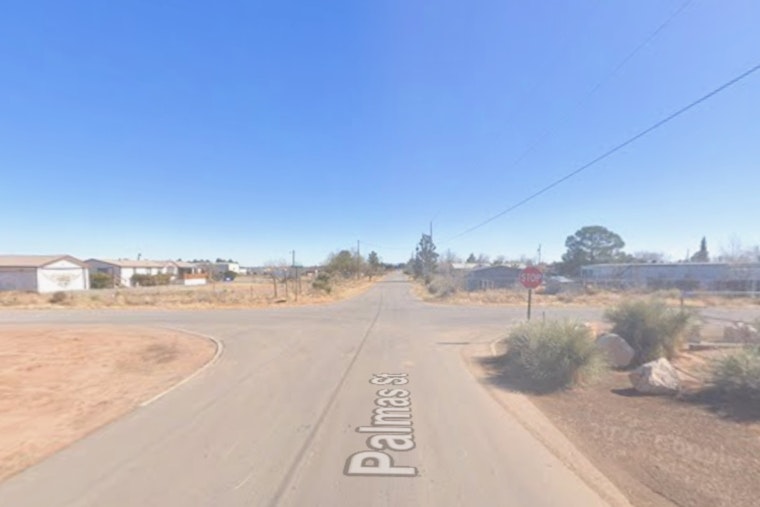 Horror On Palmas Street: 21 Dogs Found Dead Or Starving In Chaparral Home