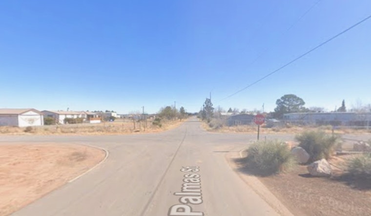 Horror On Palmas Street: 21 Dogs Found Dead Or Starving In Chaparral Home