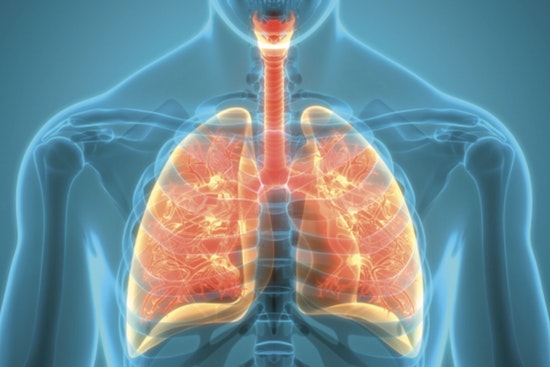 Houston Is Texas' Tuberculosis Hotspot, New County Report Warns