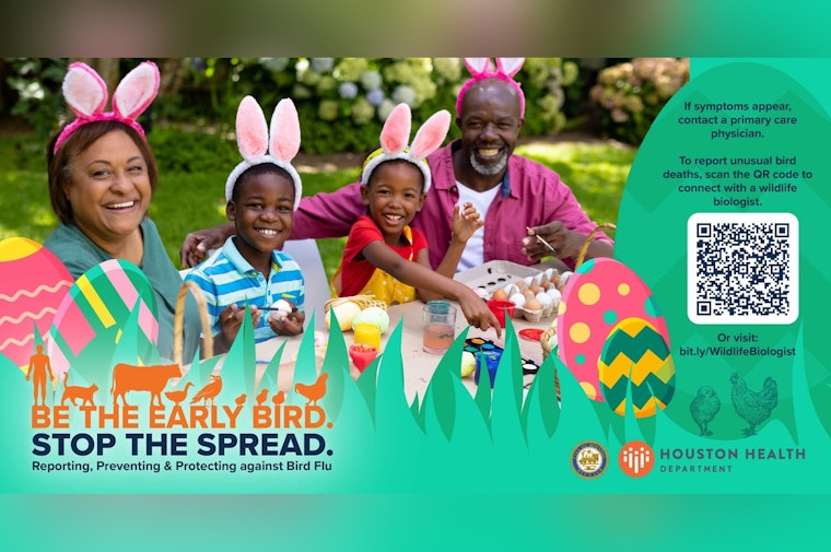 Houston Sounds Bird Flu Alarm As Easter Egg Hunts Kick Off