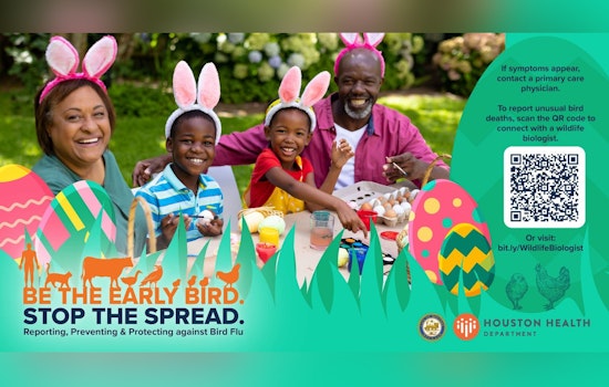 Houston Sounds Bird Flu Alarm As Easter Egg Hunts Kick Off