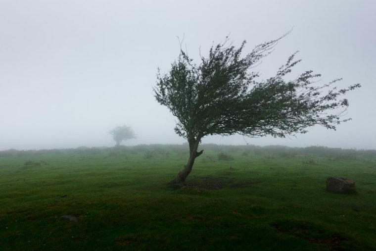 Howling Tahoe Winds Leave Thousands on South Shore in the Dark