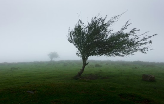 Howling Tahoe Winds Leave Thousands on South Shore in the Dark