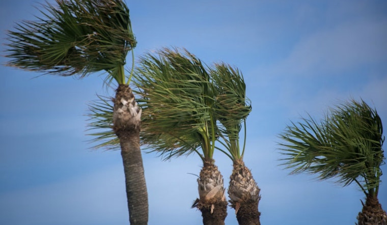 Howling Valley Winds Poised To Rattle Sacramento's Thursday Commute