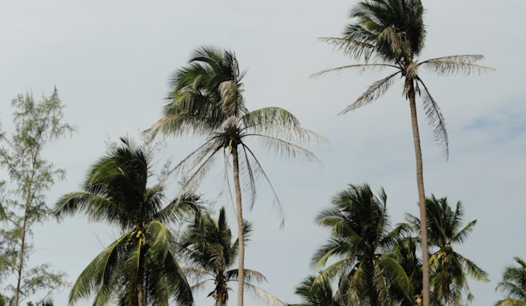 Howling Winds Put Kauaʻi And Oʻahu On Edge Through Friday Morning