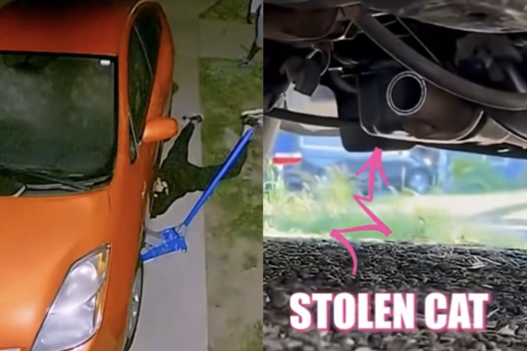 HPD Shuts Down Montrose in Hunt for Catalytic Converter Crook