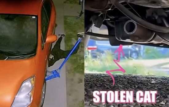 HPD Shuts Down Montrose in Hunt for Catalytic Converter Crook