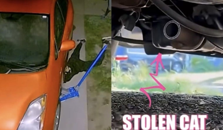 HPD Shuts Down Montrose in Hunt for Catalytic Converter Crook