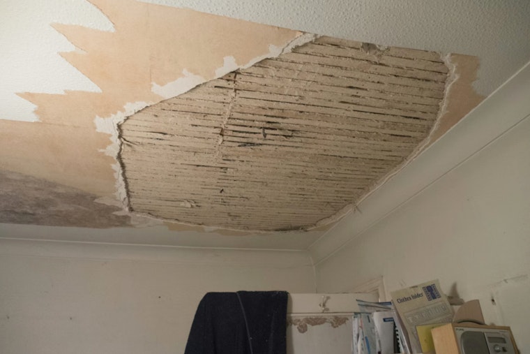Hunts Point Mom Says Moldy Apartment Is Making Her Kids Sick