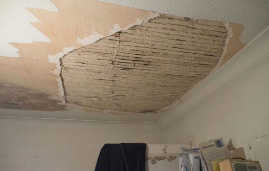Hunts Point Mom Says Moldy Apartment Is Making Her Kids Sick