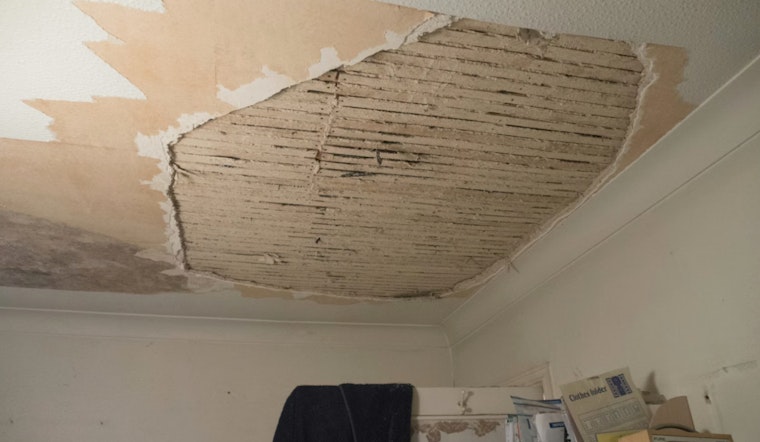 Hunts Point Mom Says Moldy Apartment Is Making Her Kids Sick