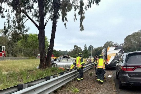 I-280 Tree Crash Near Los Altos Hills Leaves Back-Seat Rider Dead