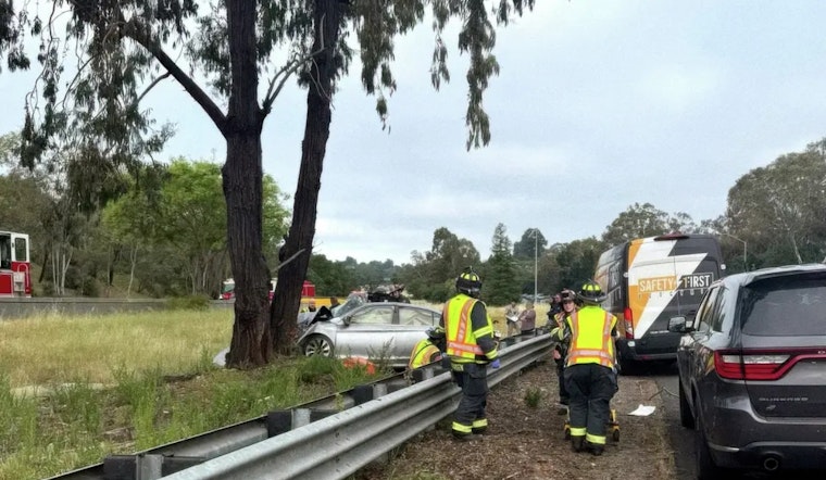 I-280 Tree Crash Near Los Altos Hills Leaves Back-Seat Rider Dead
