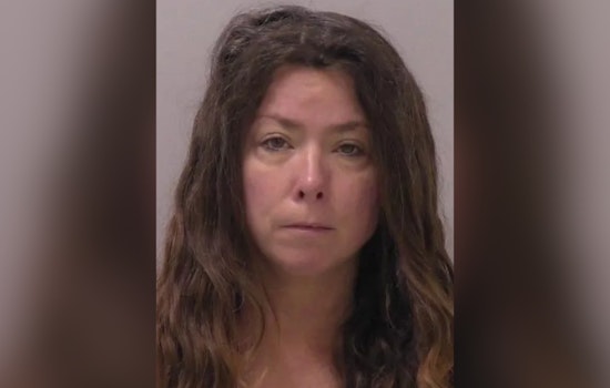 'I Just Shot My Boyfriend': Allegan County Woman Held in Killing