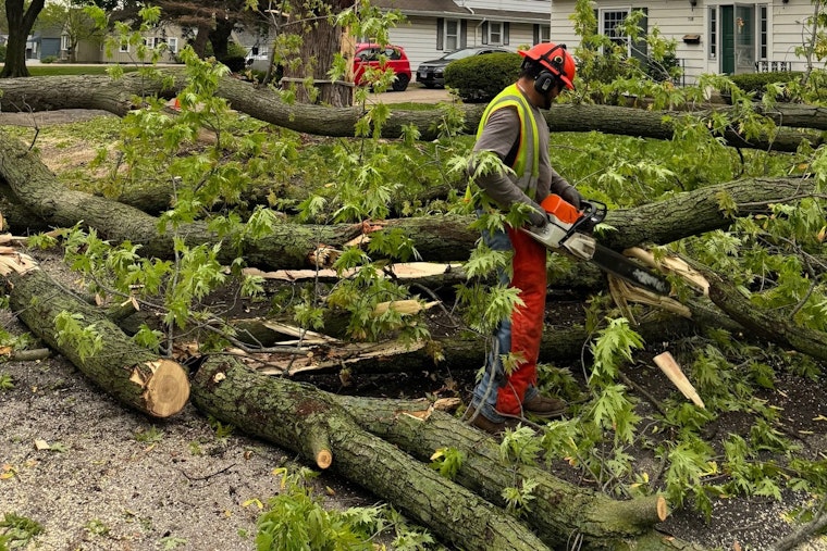 Aurora Digging Out as West Side Streets Choked With Downed Trees