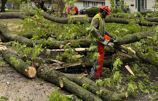 Aurora Digging Out as West Side Streets Choked With Downed Trees