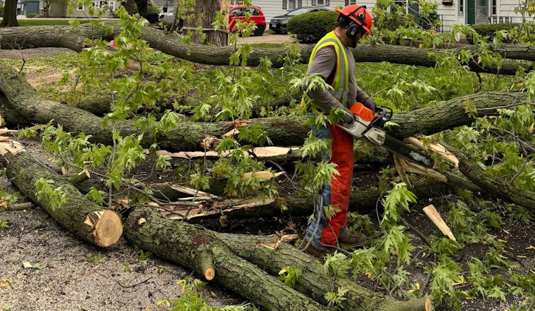 Aurora Digging Out as West Side Streets Choked With Downed Trees