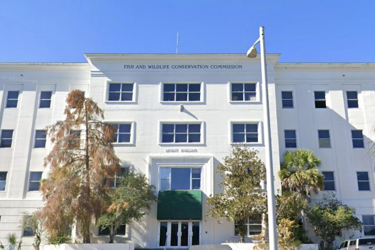 Immokalee Monkey Mix-Up: Primate Import Boss Busted After Macaque Found in Miami Trash