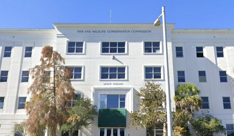 Immokalee Monkey Mix-Up: Primate Import Boss Busted After Macaque Found in Miami Trash