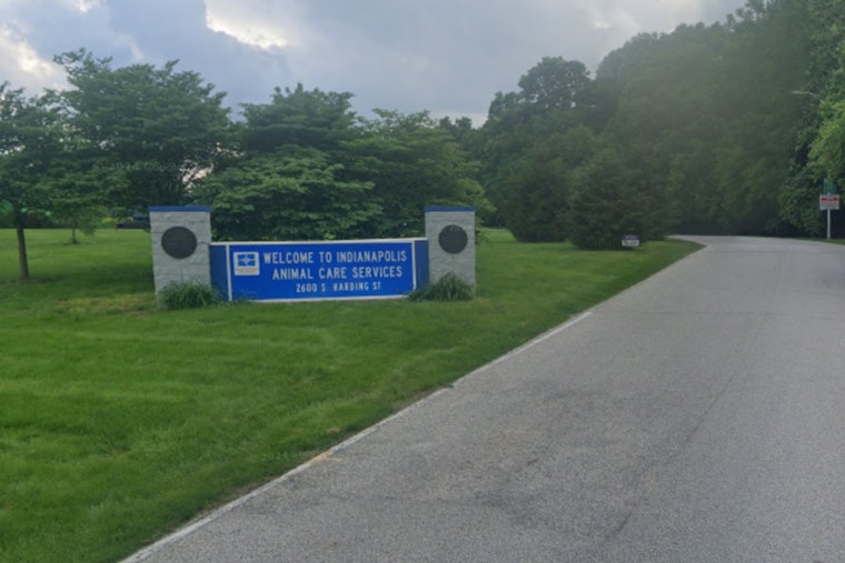 Indy Shelter Drops Pet Fees As Packed Kennels Race To New East Side Home
