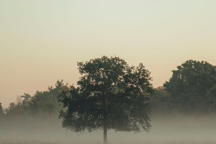 Indy Wakes In A Fog As Warm Spring Weekend Looms