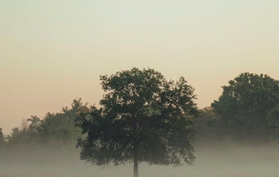 Indy Wakes In A Fog As Warm Spring Weekend Looms