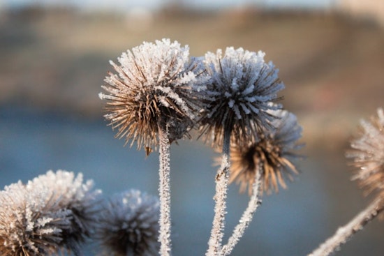 Indy Wakes Up Shivering as Fierce Winds Set Stage for Monday Freeze