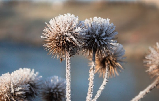 Indy Wakes Up Shivering as Fierce Winds Set Stage for Monday Freeze