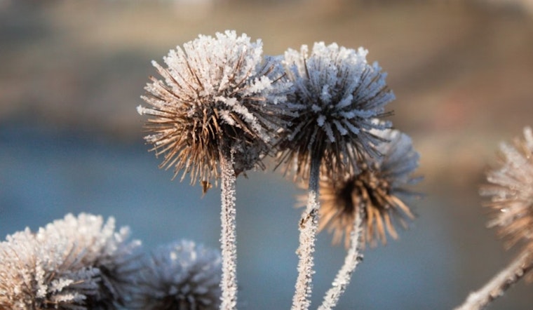Indy Wakes Up Shivering as Fierce Winds Set Stage for Monday Freeze