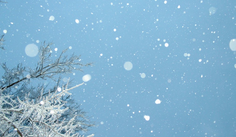 Indy Wakes Up Shivering As Surprise Freeze Nips Spring Gardens