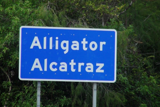 Inside ‘Alligator Alcatraz,’ Where Officials Swear They’re Playing By The Rules